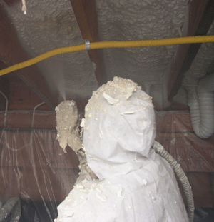 Wilmington NC crawl space insulation